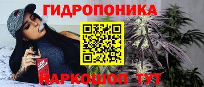 крисы Обнинск