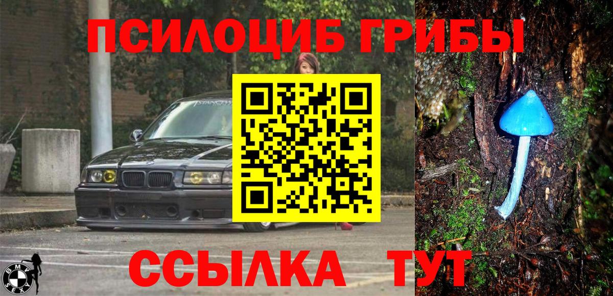Галлюциногенные грибы прущие грибы  Вход с VPN  Рубцовск 